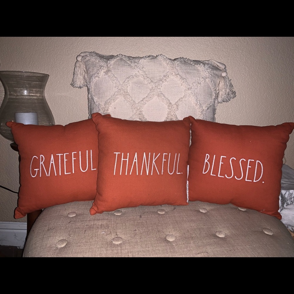 Set of 3 Rae dunn pillows